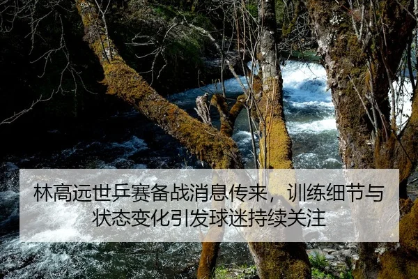 林高远世乒赛备战消息传来，训练细节与状态变化引发球迷持续关注